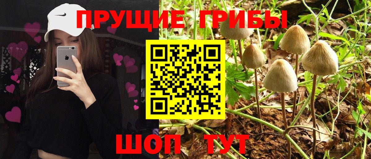 Галлюциногенные грибы Psilocybine cubensis Соликамск